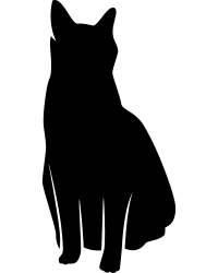 Cat Element