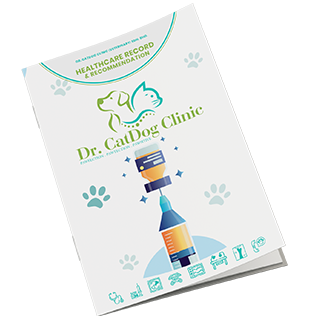 Dr. CatDog Clinic Brand Application