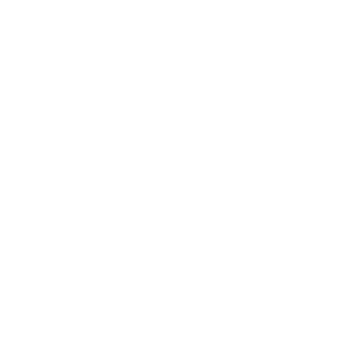 The Brand Tailor
